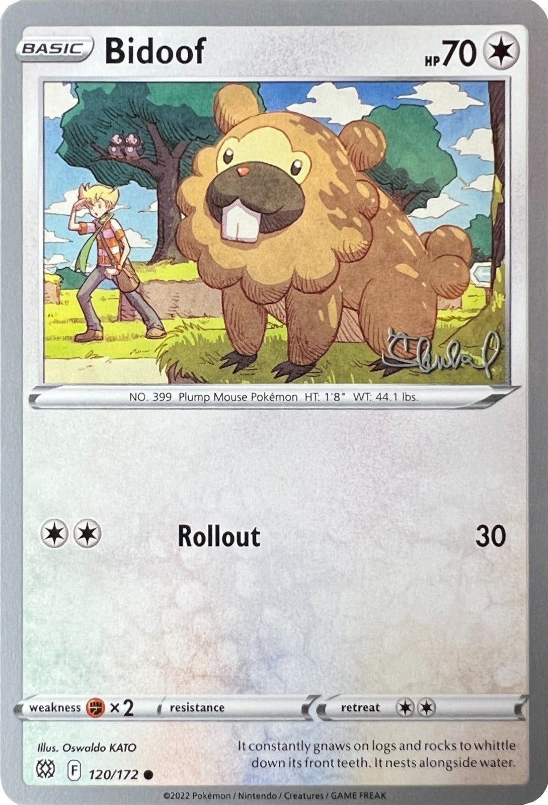 Bidoof (120/172) (ADP
