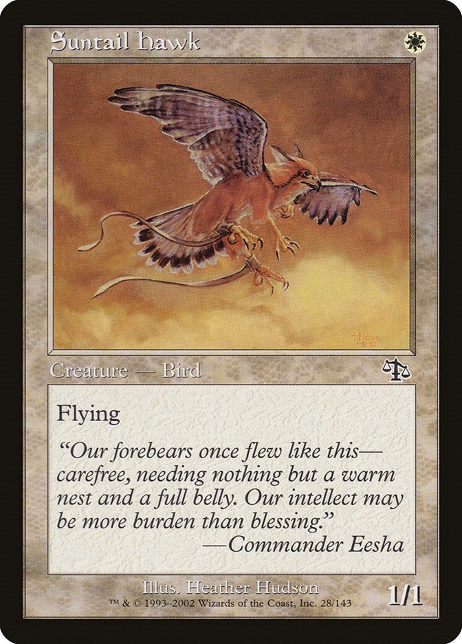 Suntail Hawk [JUD - 28]