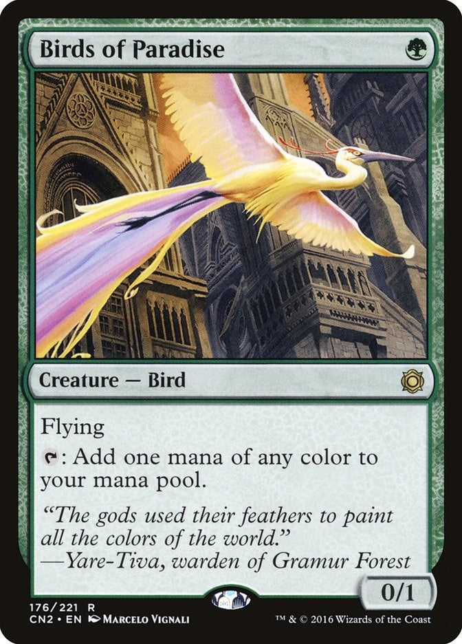Birds of Paradise [CN2 - 176]