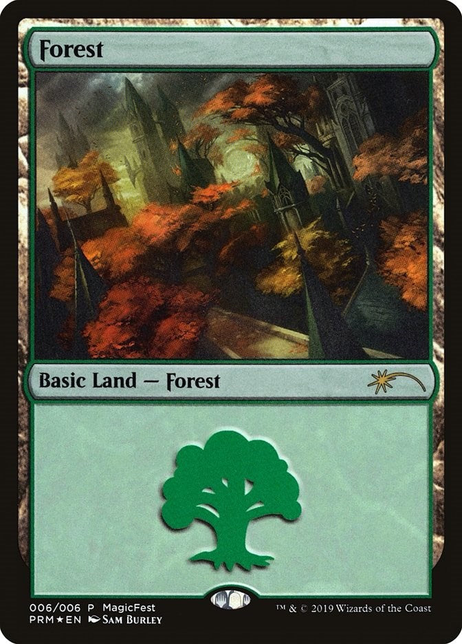 Forest (2019) [MFP - 6]
