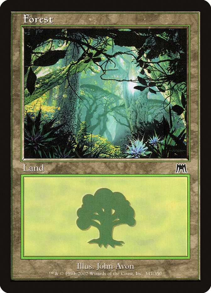 Forest (347)