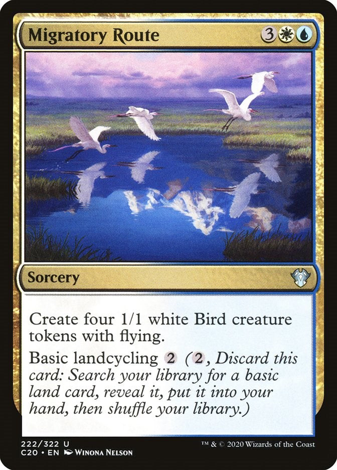 Migratory Route [C20 - 222]