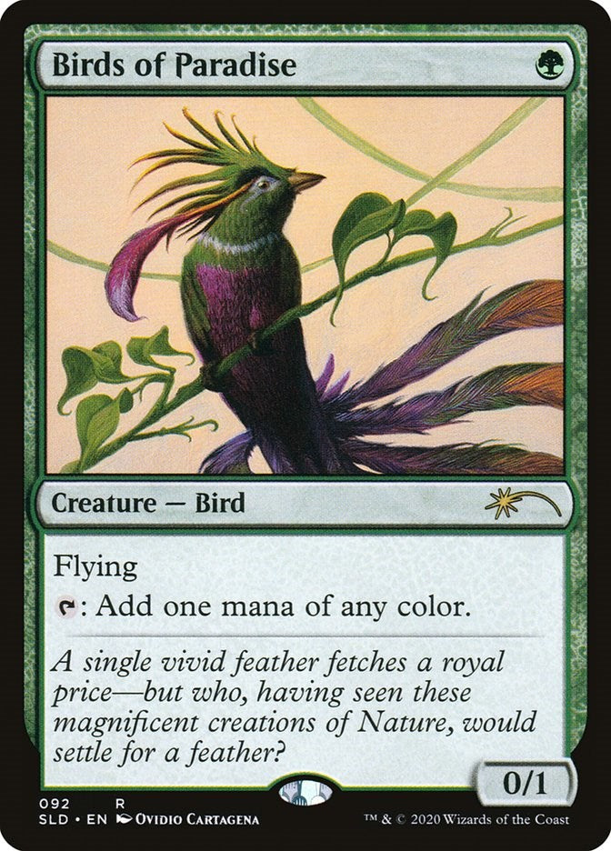 Birds of Paradise (92)