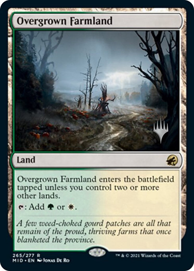 Overgrown Farmland [PPMID - 265]