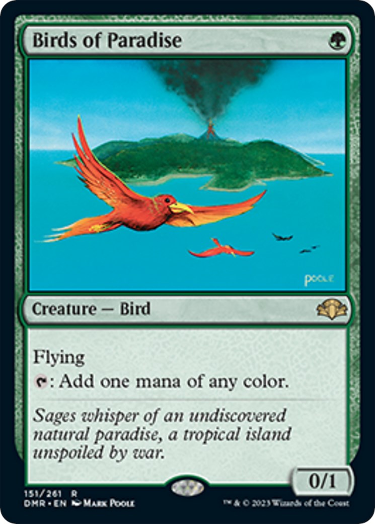Birds of Paradise [DMR - 151]