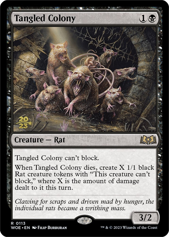Tangled Colony [PRE - 113]