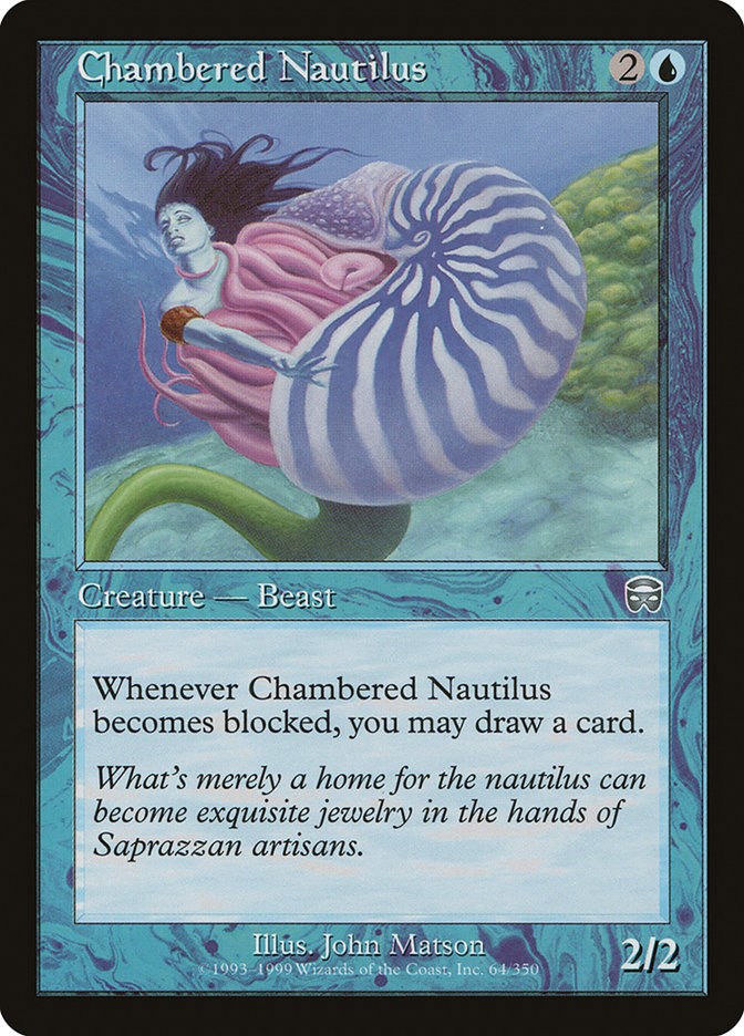 Chambered Nautilus [MMQ - 64]