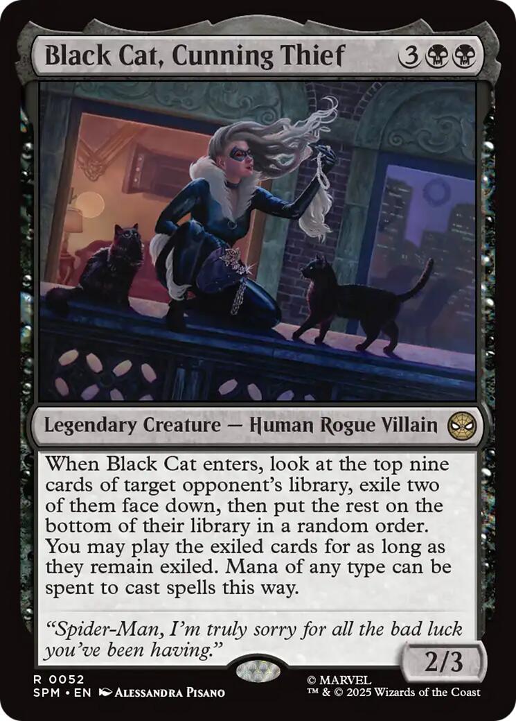 Black Cat Cunning Thief