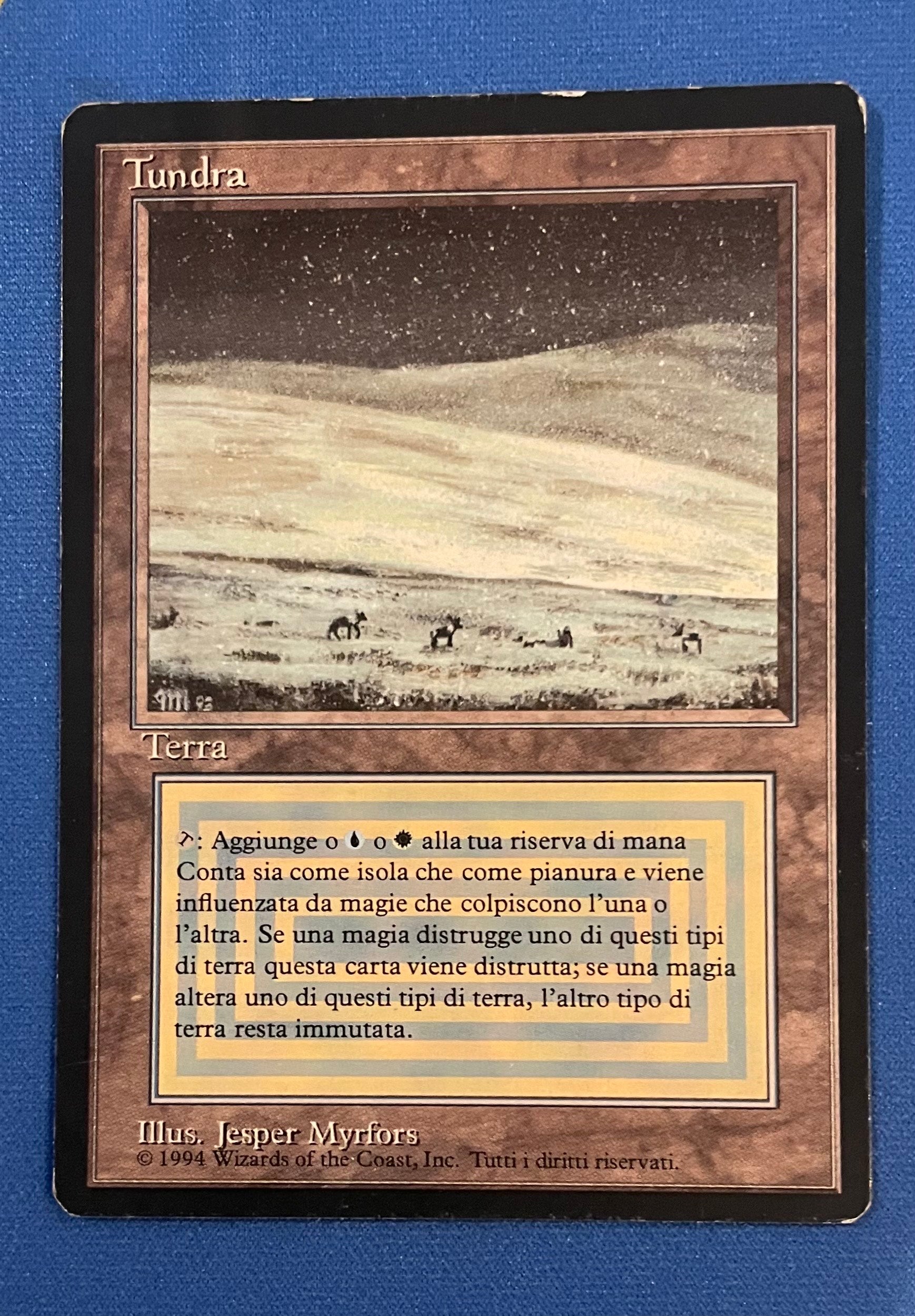 Tundra [N/A]